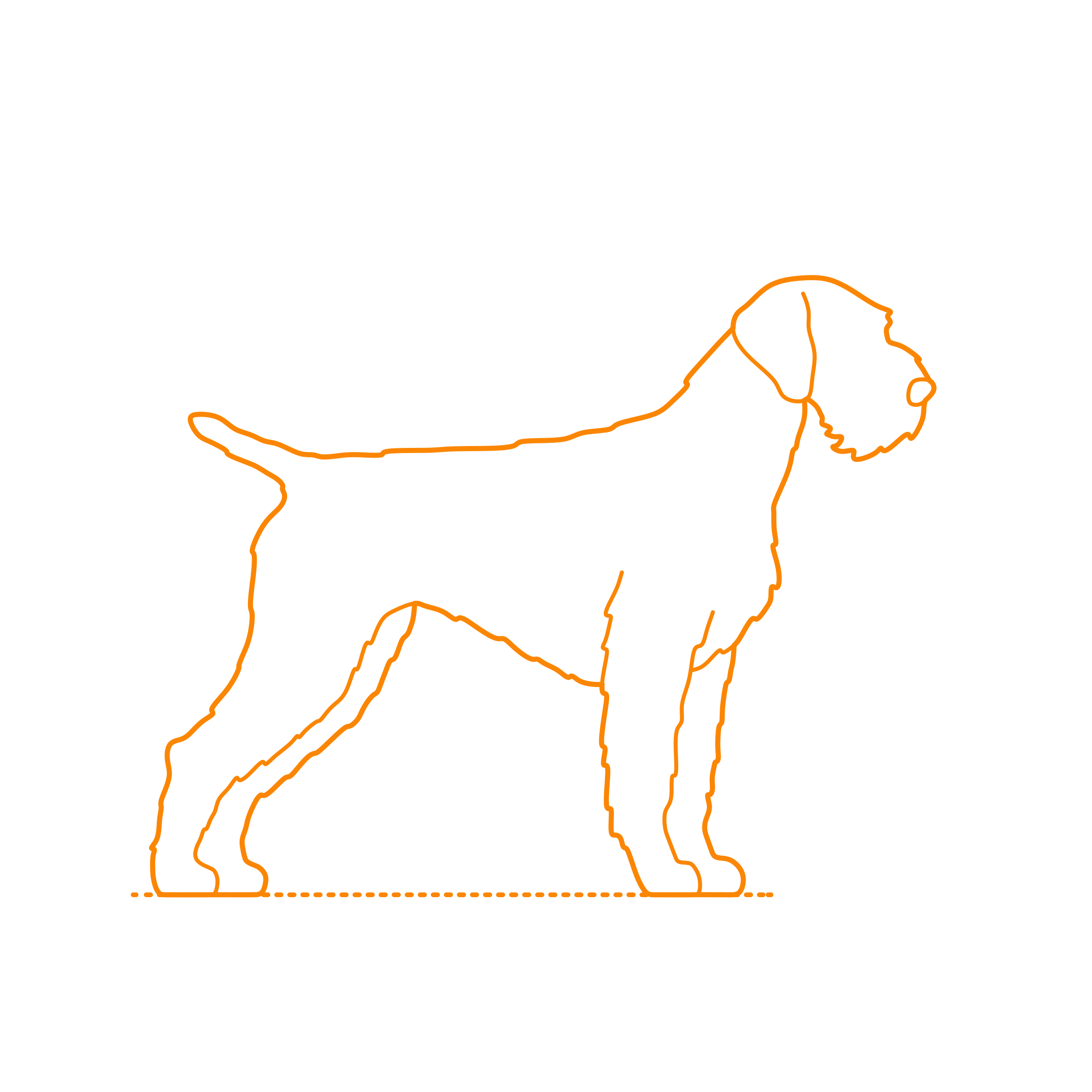 Animals Dogs German Wirehaired Pointer Vinyl Svg File Free Vectors